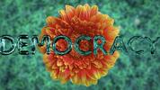 The word DEMOCRACY spelled out in metallic green capital letters across a yellow and orange flower.